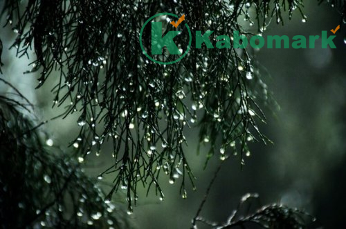 Why Should You dont despair the mercy of Allah?