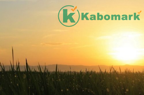 If Allah can – Islamic Poem