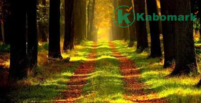 Rope of Allah – Islamic Poem