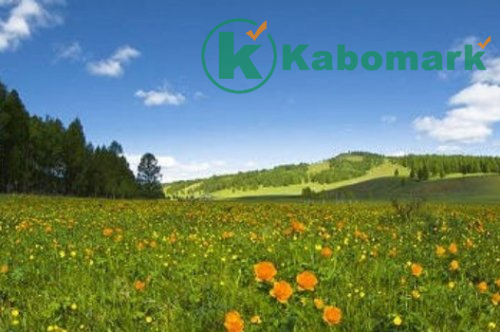 I Wanted More Islamic Poem