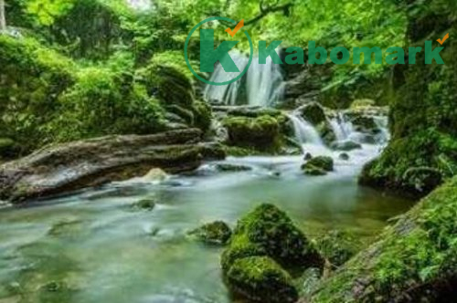 Beauty of Nature: A Blessing of Allah