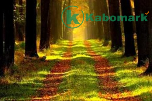 Rope of Allah – Islamic Poem