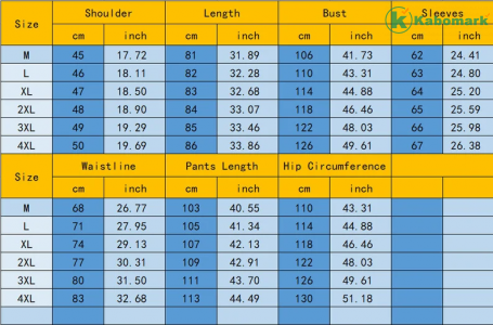 African Men Set Man 2 Pieces African Dashiki Long Sleeve Shirt Trouser Outfit Suit Traditional Male Clothes Pant Suits 2022